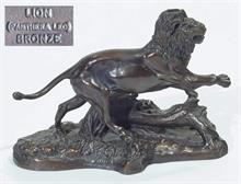 Panthero Leo (männlicher Löwe). 