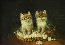Katzenpaar im Körbchen.  um 1900. 